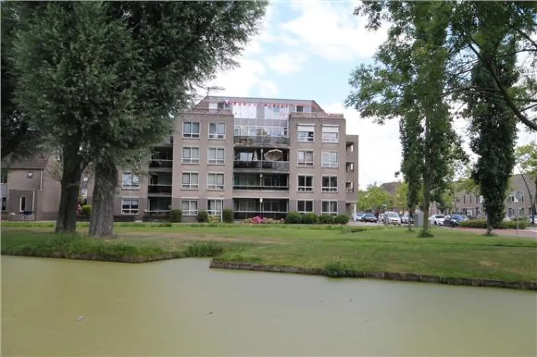 homes for rent on Schouw 6