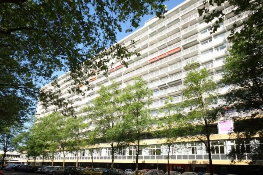 appartementen te huur op Ametisthorst 303