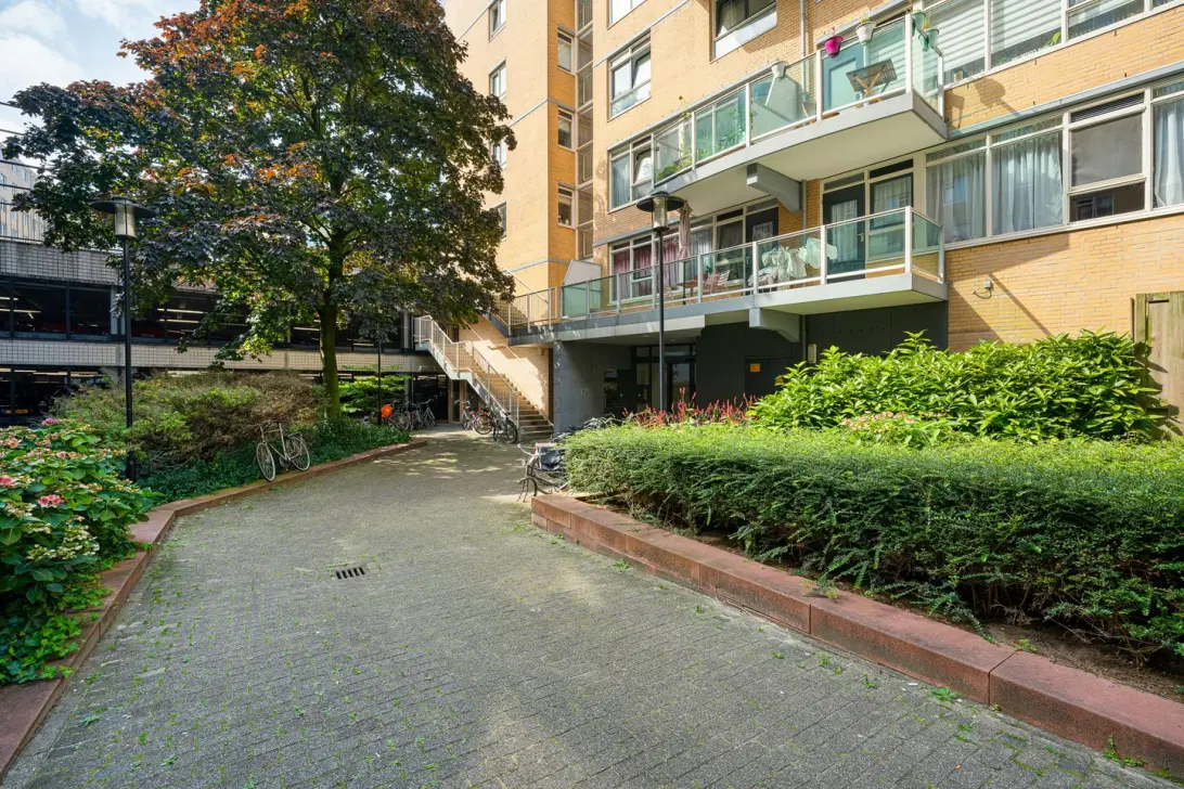 private-rentals for rent on Kipstraat 175