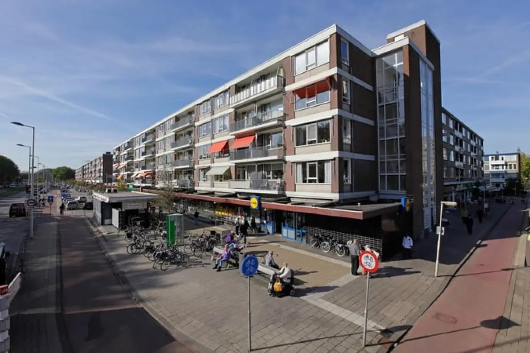 free-sector-houses for rent on Spinozaweg 303