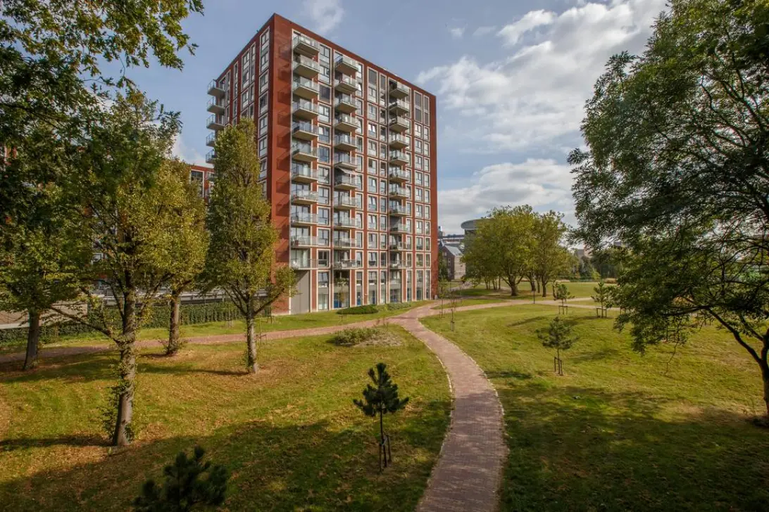 homes for rent on Dankmeijerpad 143