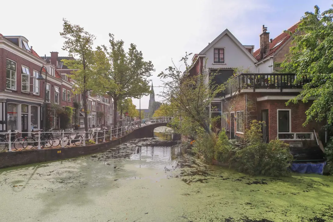 homes for rent on Geerweg 40